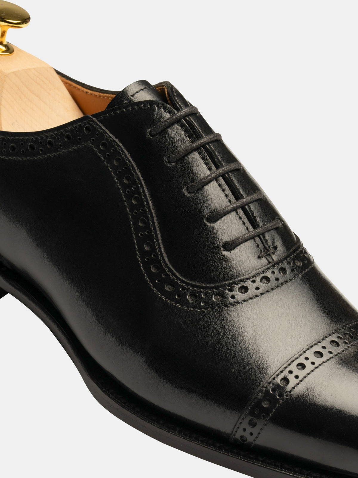 [ONLINE EXCLUSIVE] ARU Adelaide Oxford
