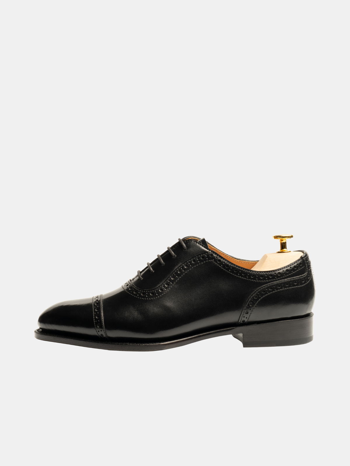 [ONLINE EXCLUSIVE] ARU Adelaide Oxford