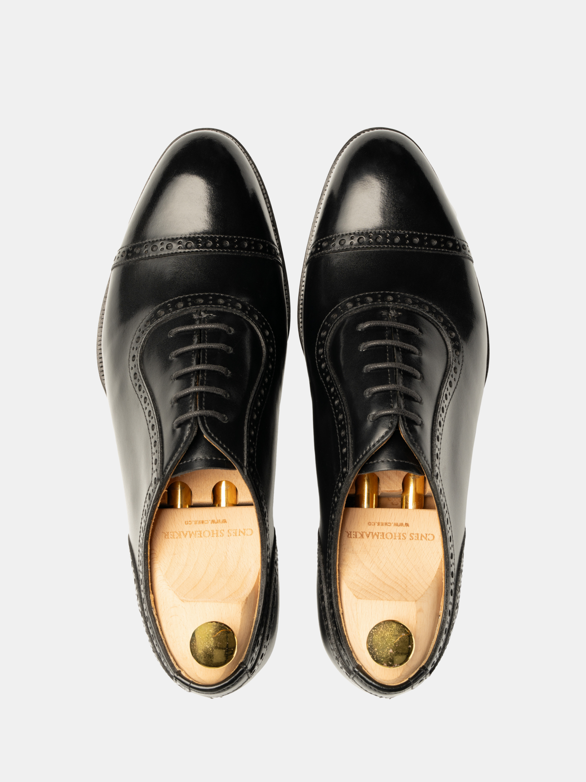 [ONLINE EXCLUSIVE] ARU Adelaide Oxford