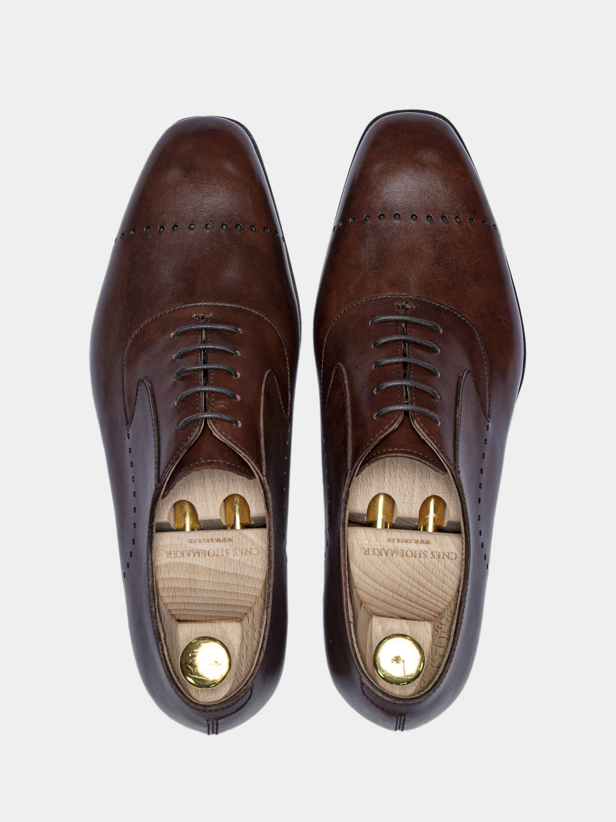 [ONLINE EXCLUSIVE] PATRICK Oxford Brown Museum